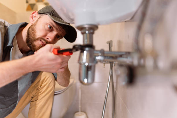 Best Commercial Plumbing Services  in Muskegon, MI